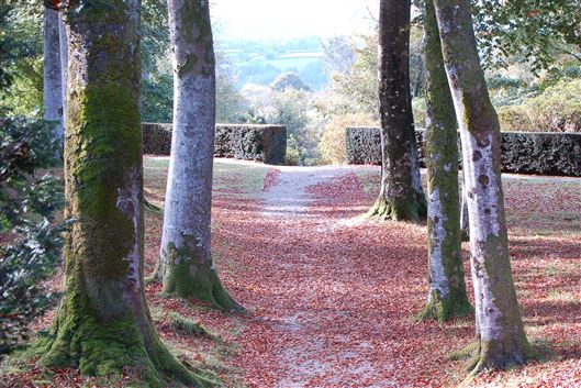 Click for large image