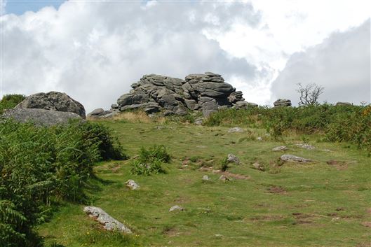 Click for large image