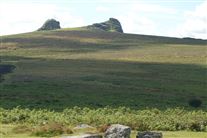 Click for large image